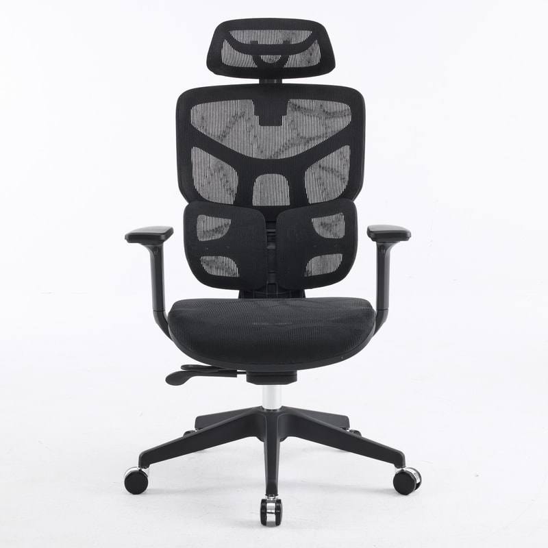 Body Balance High Back Ergonomic Chair
