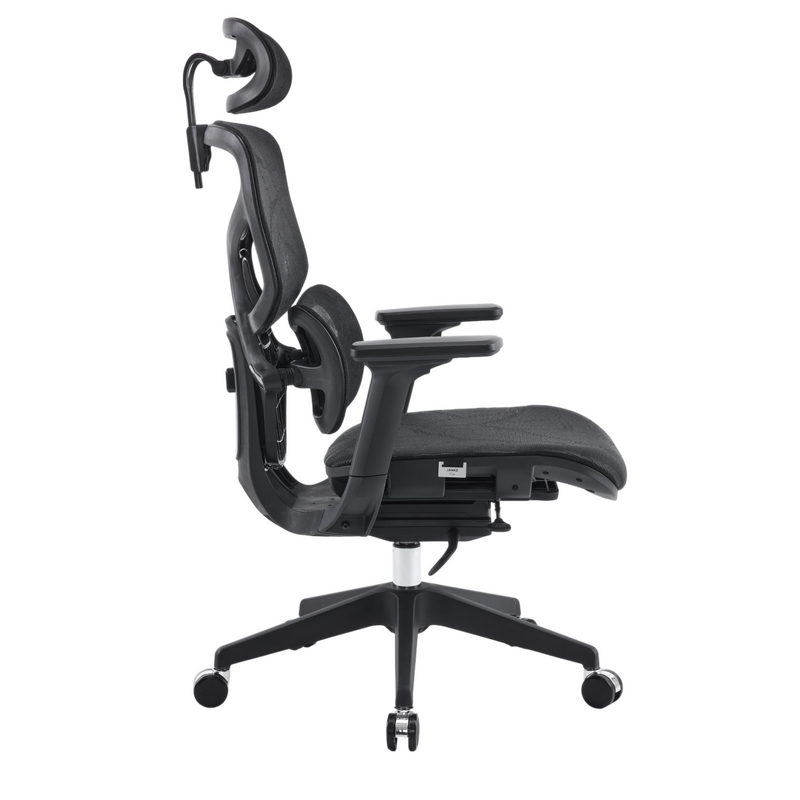 Body Balance High Back Ergonomic Chair Thumbnail