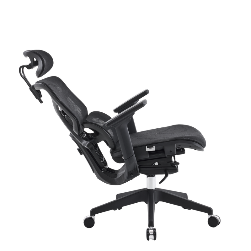 Body Balance High Back Ergonomic Chair Thumbnail