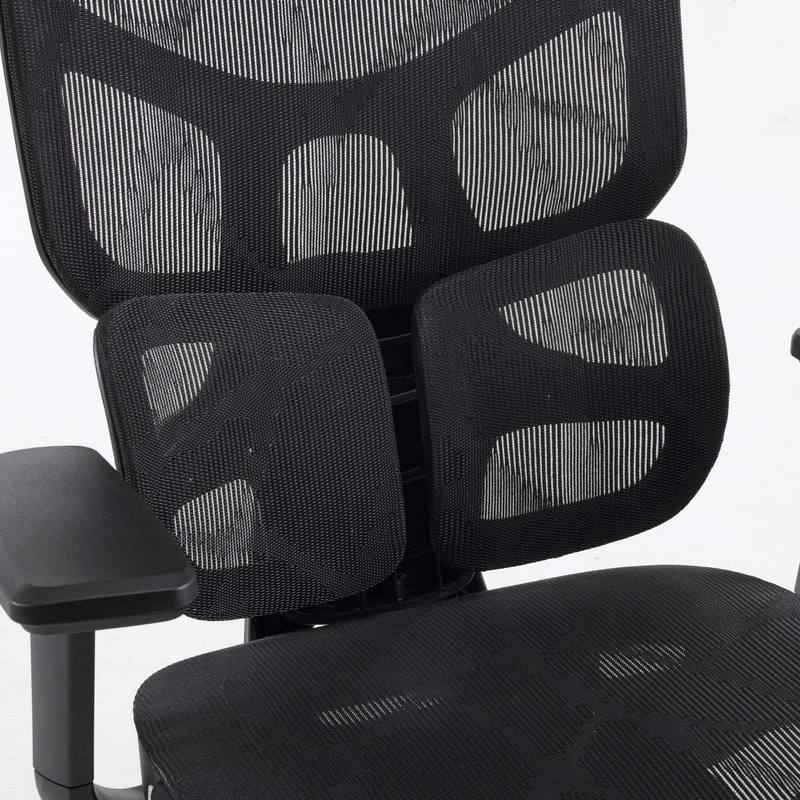 Body Balance High Back Ergonomic Chair Thumbnail