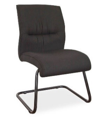 Salvador Visitor Side Chair