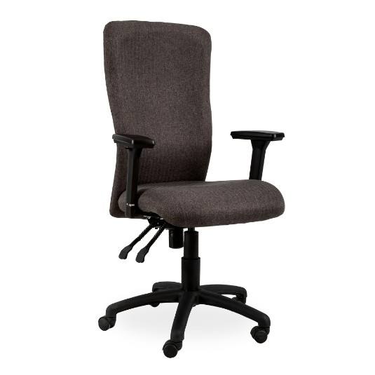 Spine High Back Chair